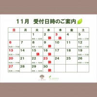 2022.11calender